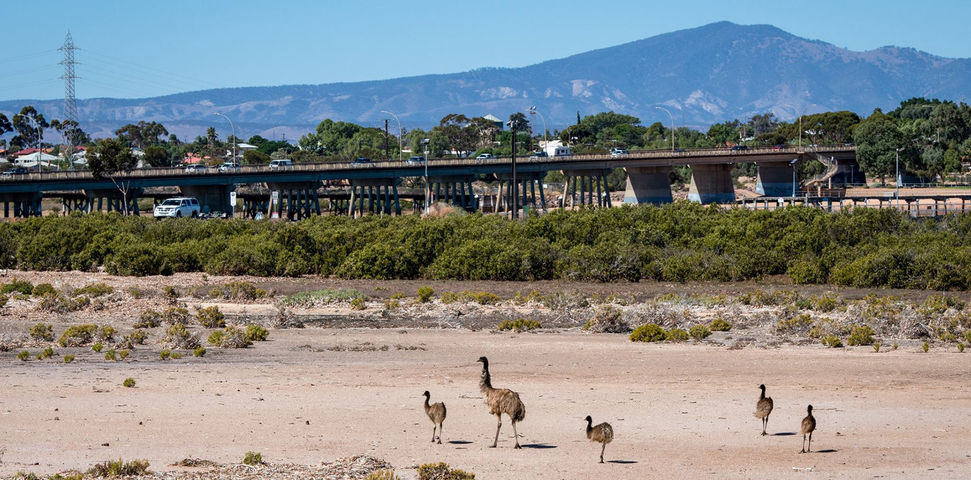 Port-Augusta-Emus-Flinders-Ranges-Main-Bridge