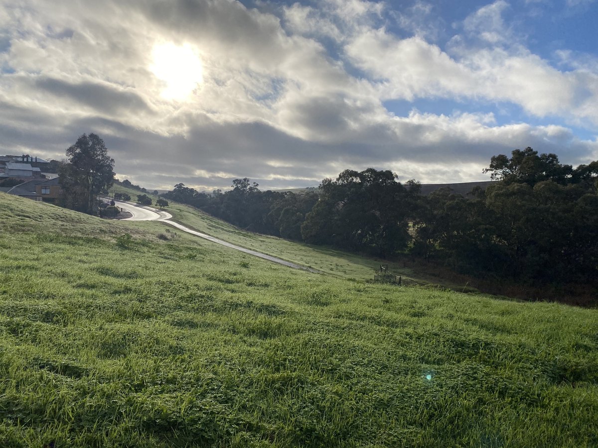 Rolling green hills and a country road at Hewett, near Gawler, South Australia